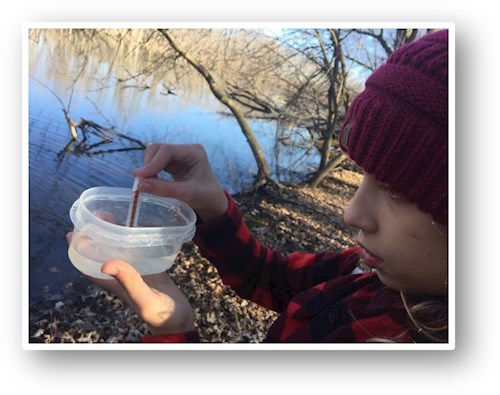 Volunteer measuring salt near stream